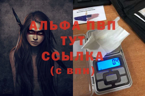 стаф Абинск