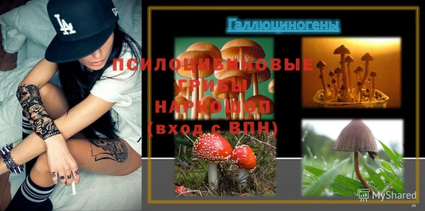 2c-b Алзамай